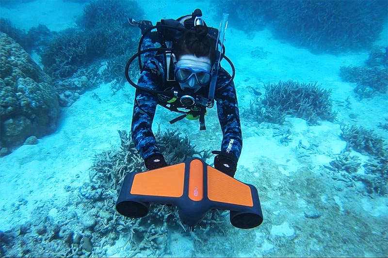 The differences between diving programs