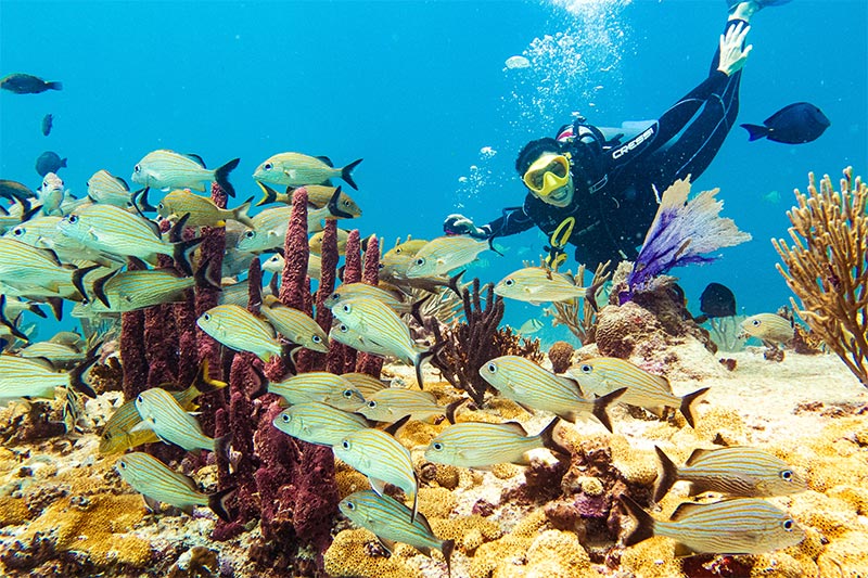 Top 10 diving spots in Mexico