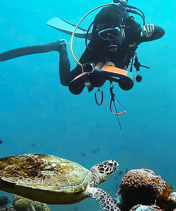 scuba-diver-shoot-photo-for-sea-turtle