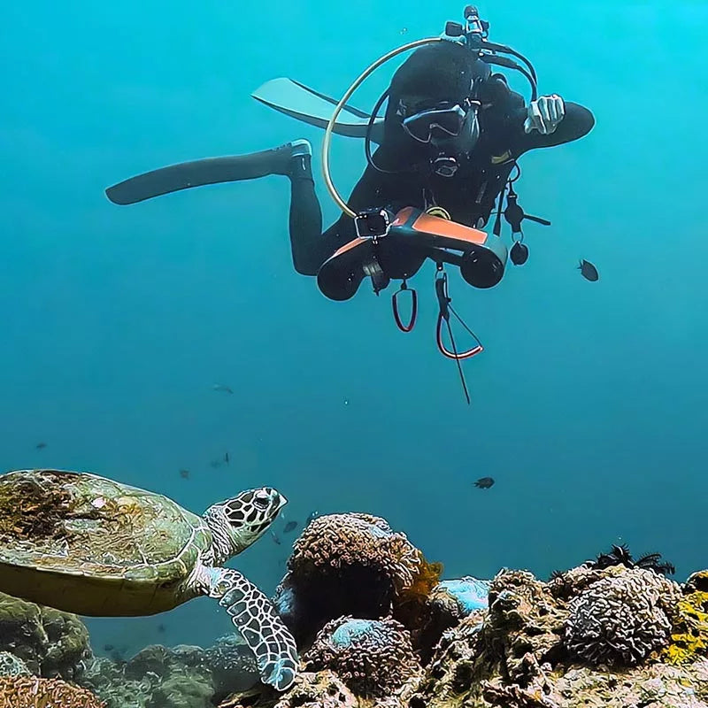 scuba-diver-shoot-photo-for-turtle